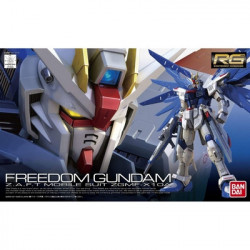 GUNDAM Real Grade Freedom Gundam Bandai Gunpla