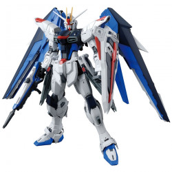  GUNDAM Real Grade Freedom Gundam Bandai Gunpla