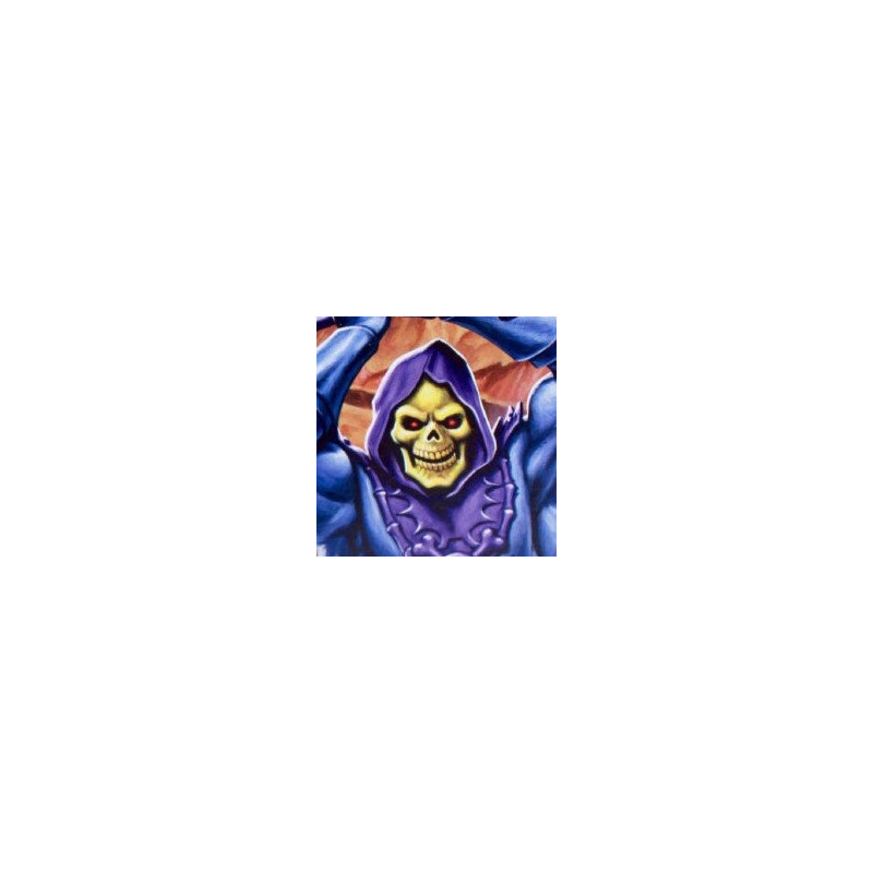 MAITRES DE L'UNIVERS figurine Skeletor ReAction Super7