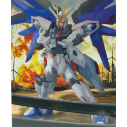 GUNDAM SEED Freedom Model kit Level