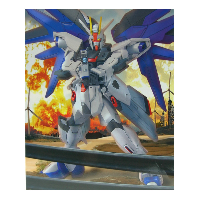 GUNDAM SEED Freedom Model kit Level