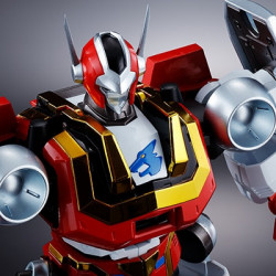 GX-39 R Baikanfu Soul of Chogokin Bandai