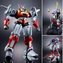  GX-39 R Baikanfu Soul of Chogokin Bandai