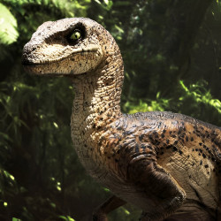 Statue Velociraptor Closed Mouth Prime Collectible Figures Prime 1 Studio Jurassic Park