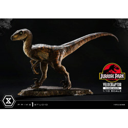 Statue Velociraptor Closed Mouth Prime Collectible Figures Prime 1 Studio Jurassic Park