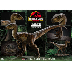 Statue Velociraptor Closed Mouth Prime Collectible Figures Prime 1 Studio Jurassic Park