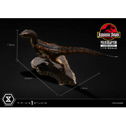 Statue Velociraptor Closed Mouth Prime Collectible Figures Prime 1 Studio Jurassic Park