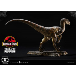 Statue Velociraptor Closed Mouth Prime Collectible Figures Prime 1 Studio Jurassic Park