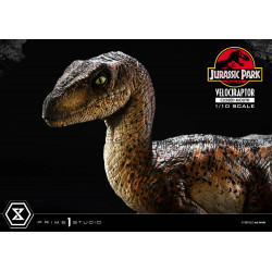 Statue Velociraptor Closed Mouth Prime Collectible Figures Prime 1 Studio Jurassic Park