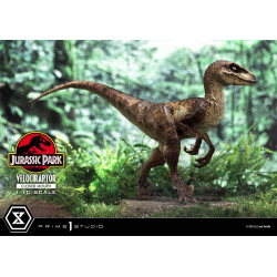 Statue Velociraptor Closed Mouth Prime Collectible Figures Prime 1 Studio Jurassic Park