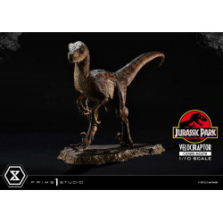 Statue Velociraptor Closed Mouth Prime Collectible Figures Prime 1 Studio Jurassic Park