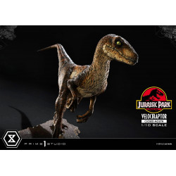 Statue Velociraptor Closed Mouth Prime Collectible Figures Prime 1 Studio Jurassic Park