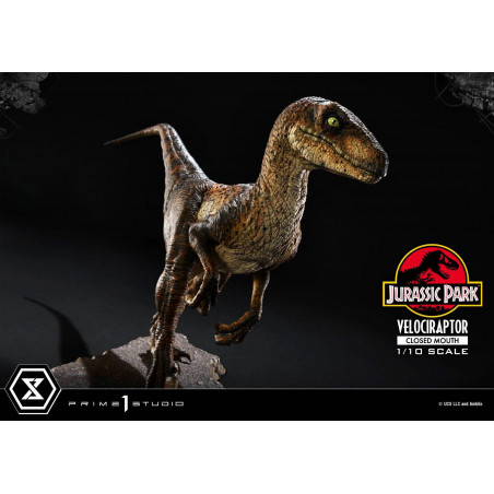 Statue Velociraptor Closed Mouth Prime Collectible Figures Prime 1 ...