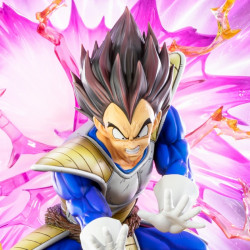 DRAGON BALL Z Statue HQS Vegeta Galick Gun Tsume Art 10 Years