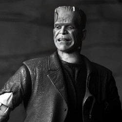 Figurine Frankenstein Monster Black & White Ultimate Neca Bride of Frankenstein