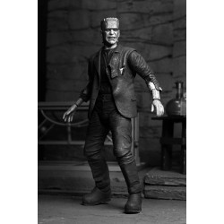 Figurine Frankenstein Monster Black & White Ultimate Neca Bride of Frankenstein