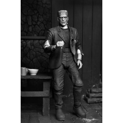 Figurine Frankenstein Monster Black & White Ultimate Neca Bride of Frankenstein