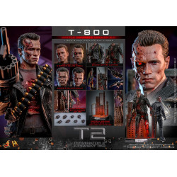 Figurine T-800 Battle Damaged Version 2.0 Hot Toys Terminator 2