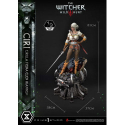 THE WITCHER 3 Wild Hunt Ciri Fiona Elen Riannon Bonus Version Prime 1 Studio