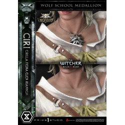 THE WITCHER 3 Wild Hunt Ciri Fiona Elen Riannon Bonus Version Prime 1 Studio