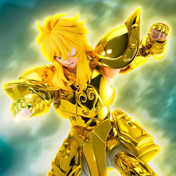 Myth Cloth EX Aquarius Hyoga Inheritor of the Gold Cloth Bandai Saint Seiya