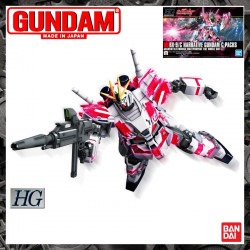  GUNDAM High Grade RX-9c Narative Gundam C-Packs Bandai Gunpla