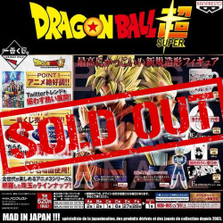 DRAGON BALL SUPER 1 Ticket Loterie Ichiban Kuji Dragon Ball Memories