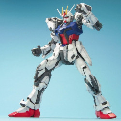  GUNDAM Perfect Grade Strike Gundam GAT-X105 Bandai Gunpla