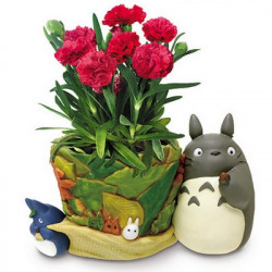 MON VOISIN TOTORO Plante Cover Benelic